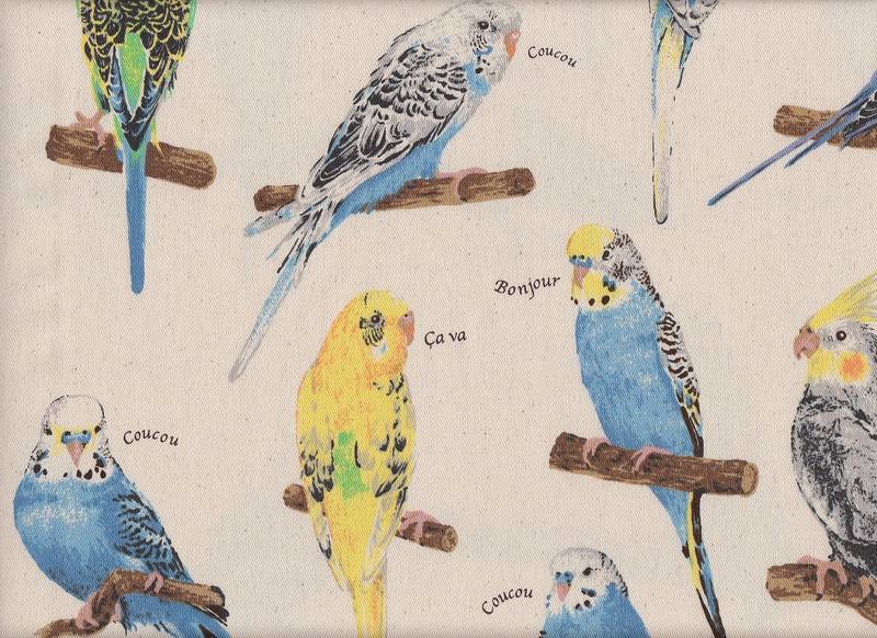 Parakeet