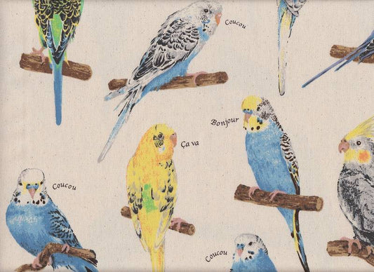 Parakeet