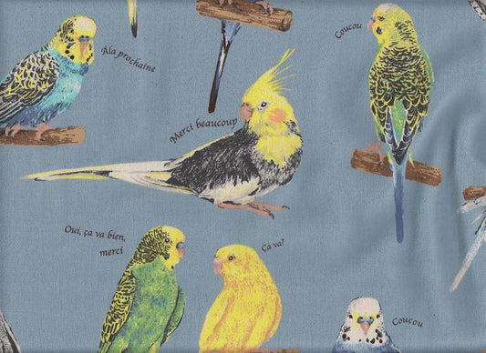 Parakeet