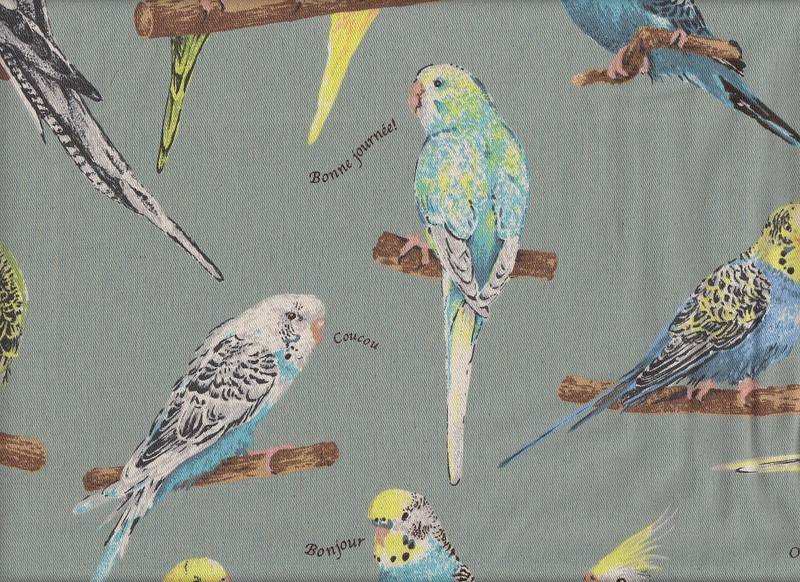 Parakeet