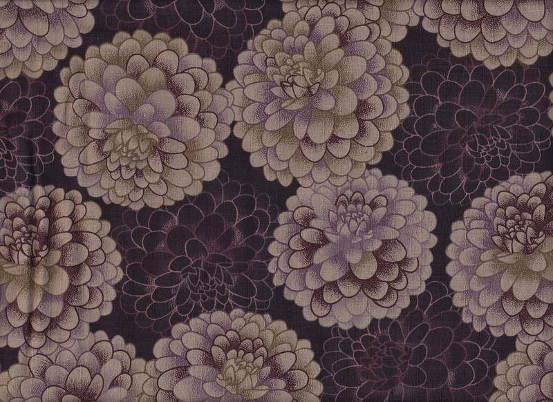 Tenjiku Peony