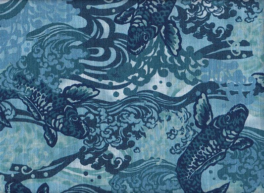 Koi