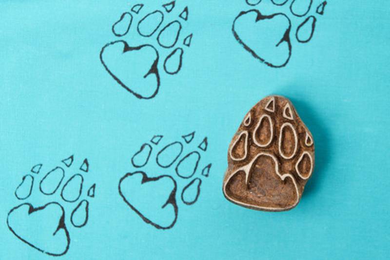 Blockwallah Stempel - Paw Print