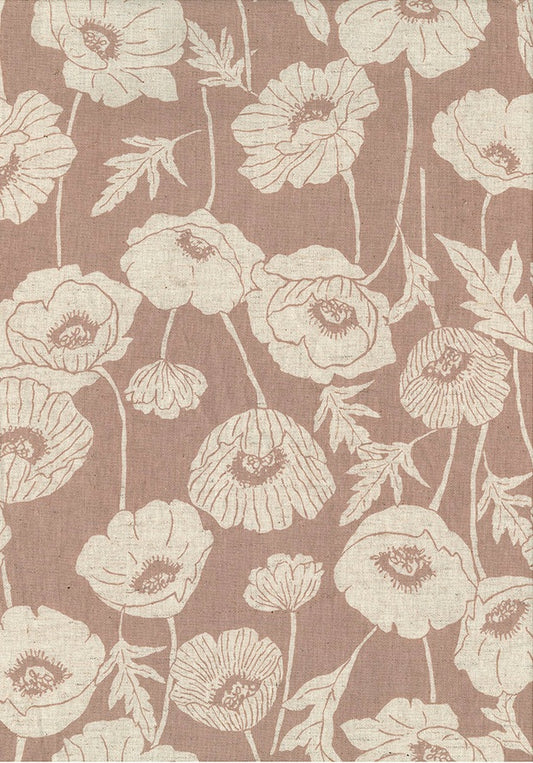 Poppy aschrosa