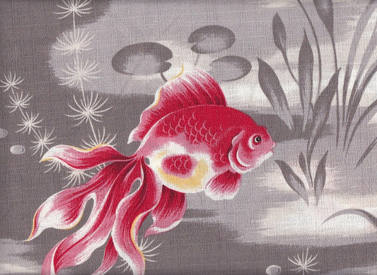 Goldfisch groß