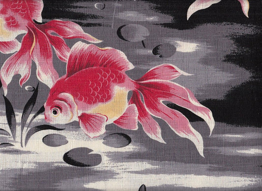 Goldfisch groß