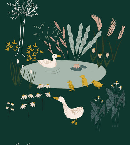 RJR Pond Life - Ducks