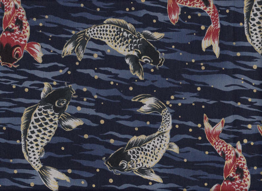 Koi Karpfen