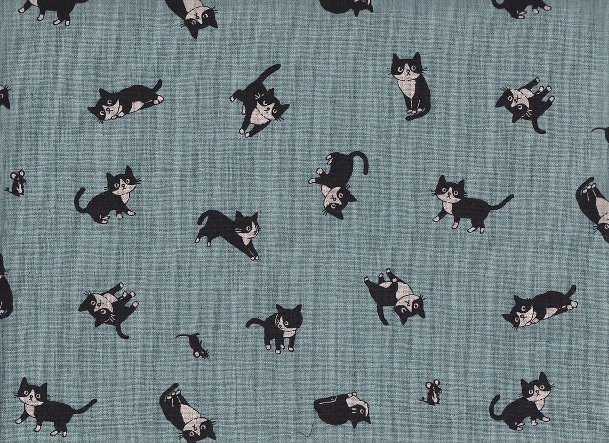 Katze Feline