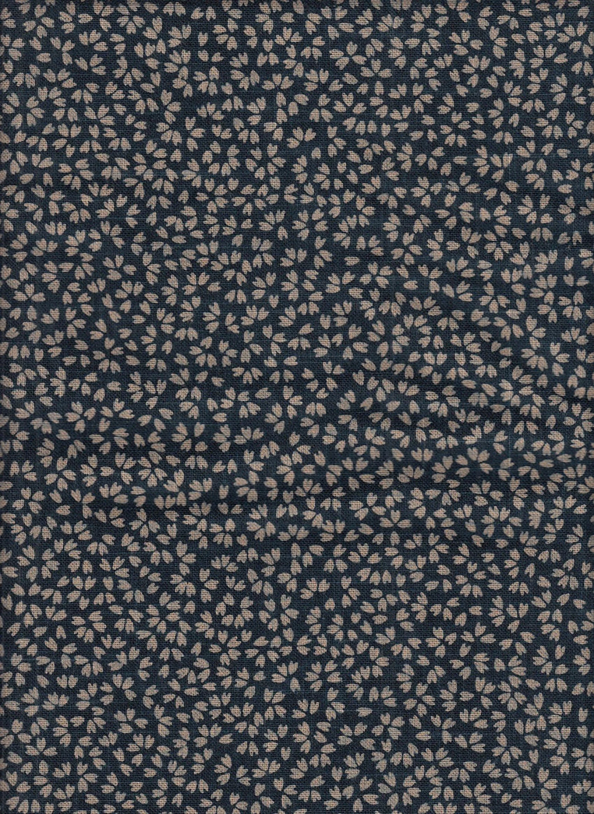 Blütenblätter blau