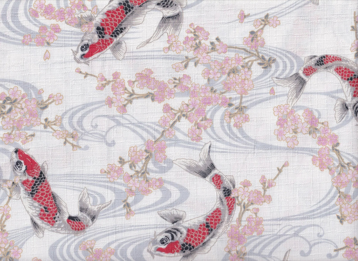 Koi & Sakura