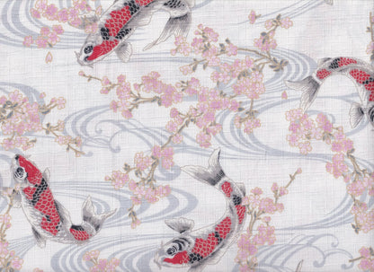 Koi & Sakura
