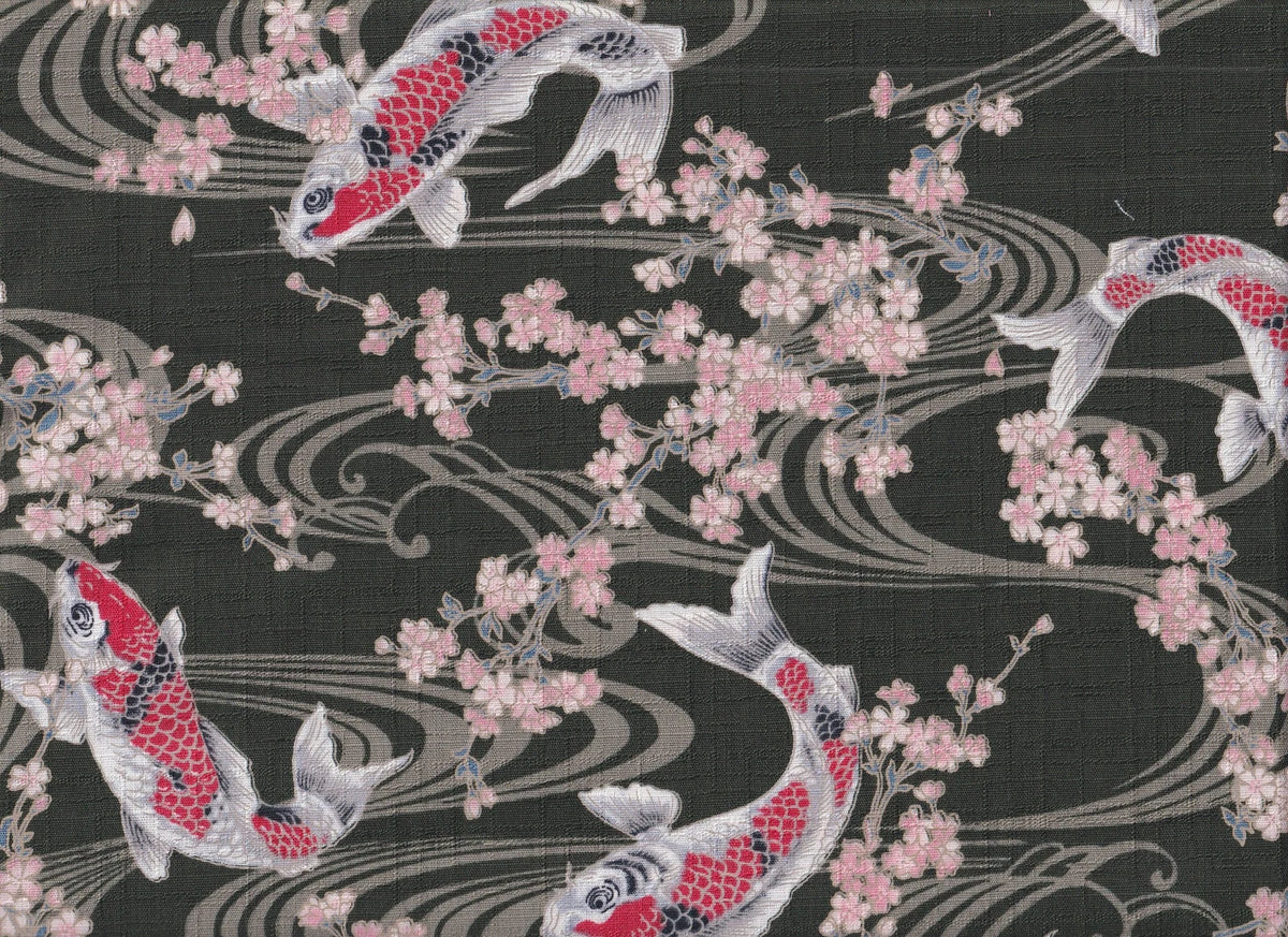 Koi & Sakura