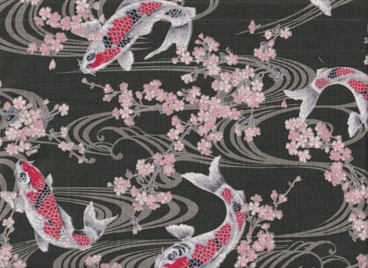 Koi & Sakura