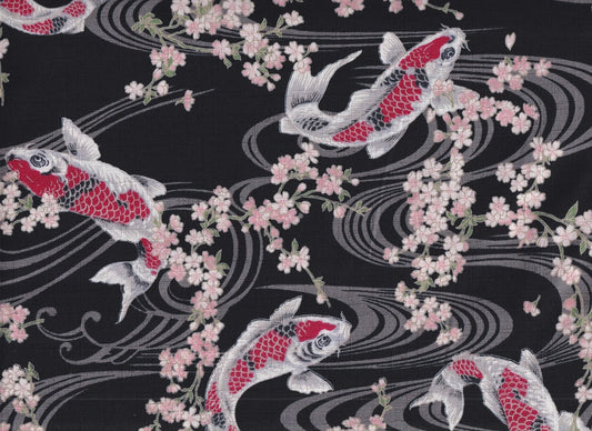 Koi & Sakura