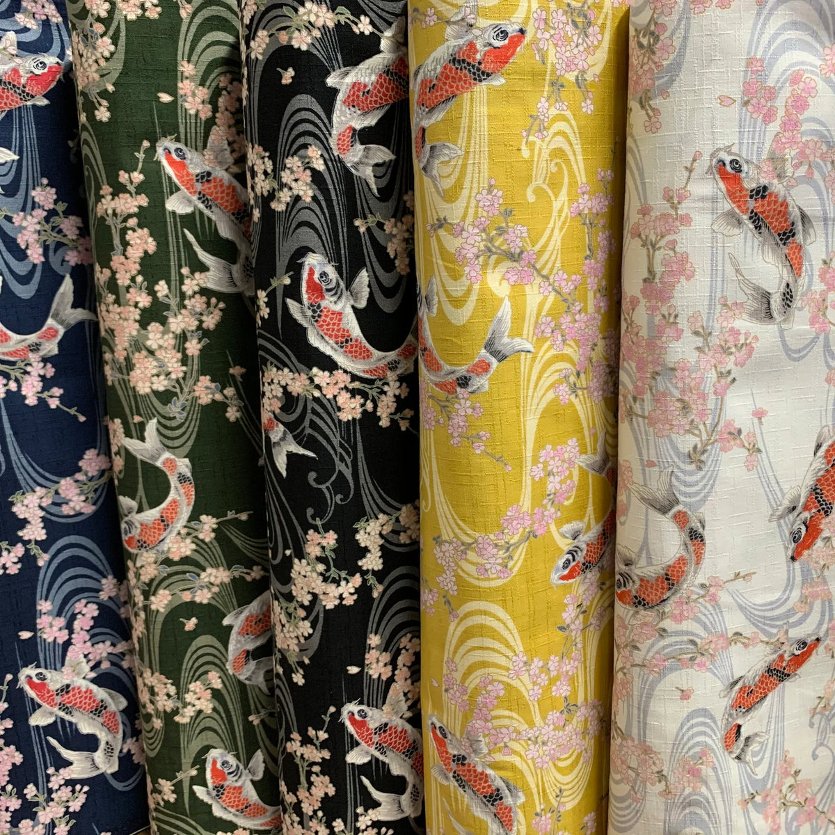 Koi & Sakura