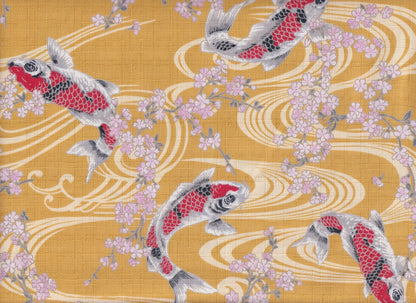 Koi & Sakura