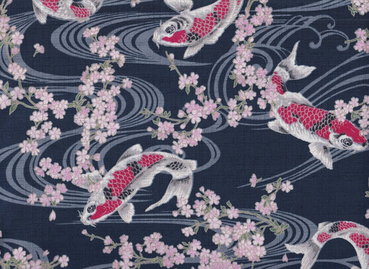 Koi & Sakura