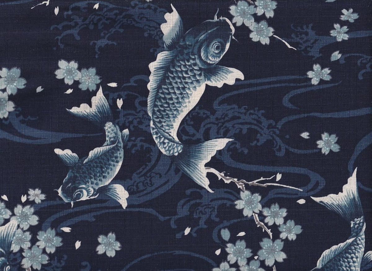 Koi & Sakura