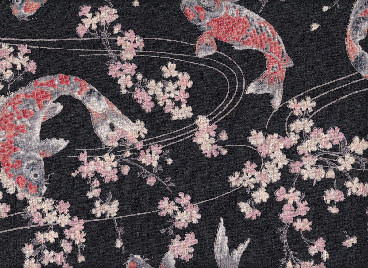 Koi & Sakura