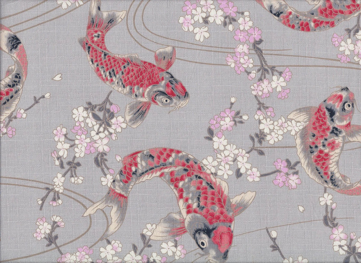 Koi & Sakura
