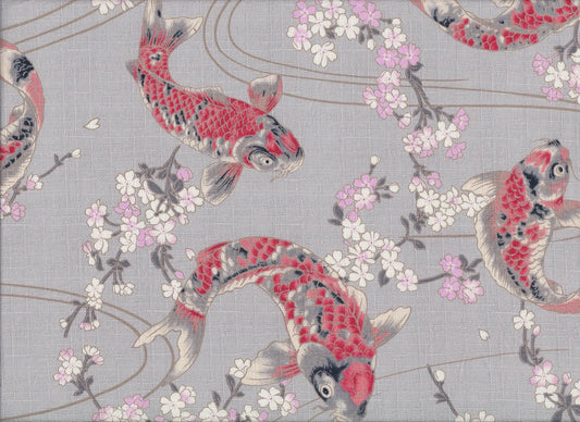Koi & Sakura