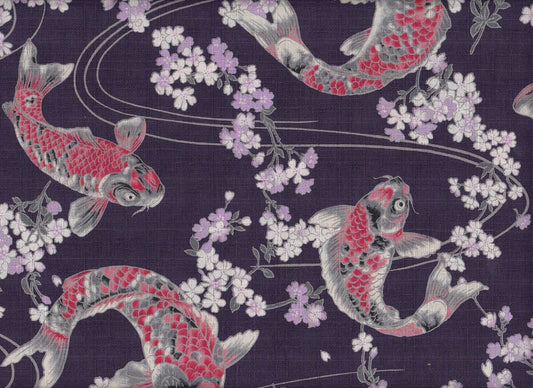 Koi & Sakura