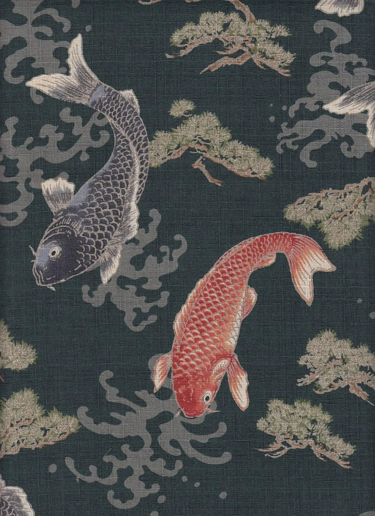Koi & Matsu