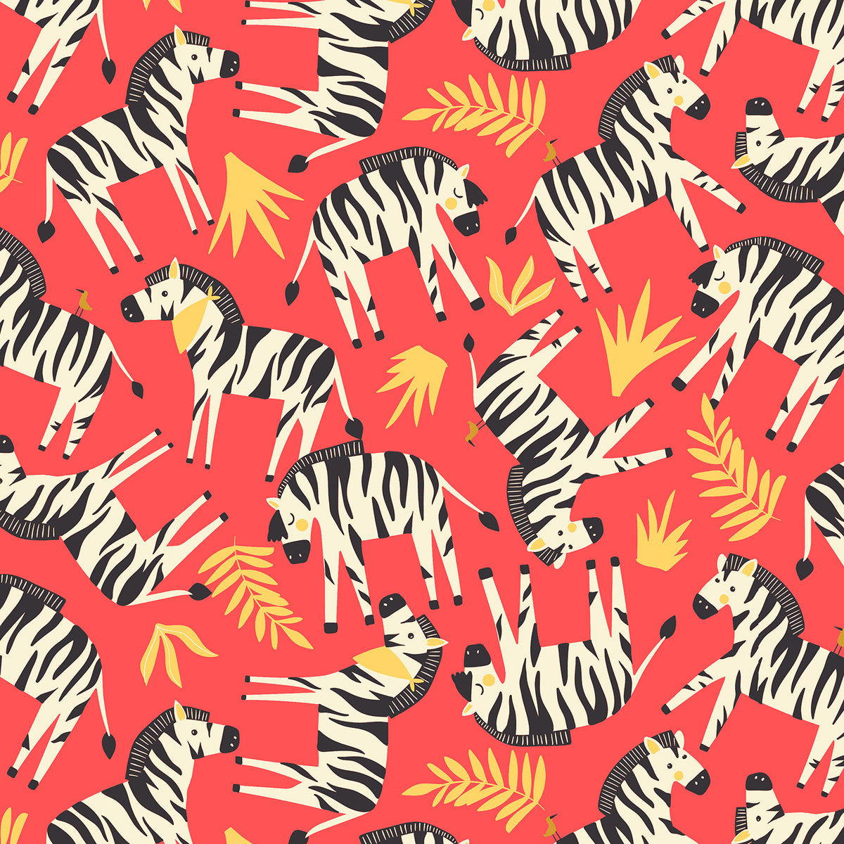RJR Adventure - Finding Zebras